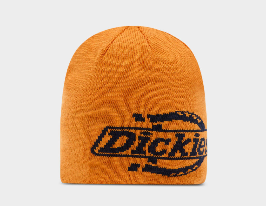 Dickies Summerdale Beanie