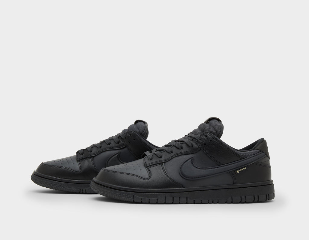 Nike Dunk Low GORE-TEX