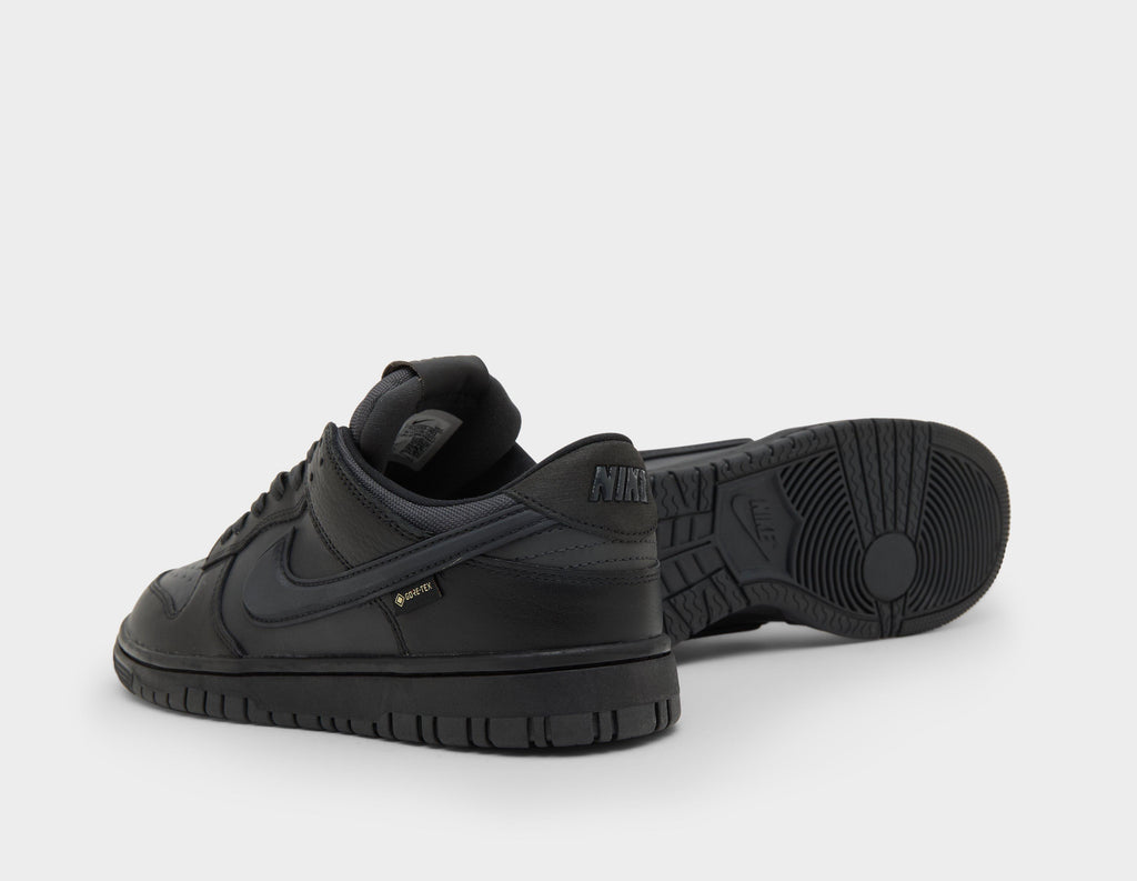 Nike Dunk Low GORE-TEX