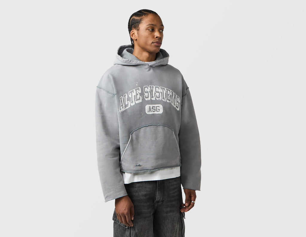 Alte Systems Analog Hoodie